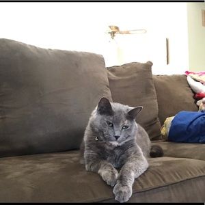 Meet your Posher, Mariah